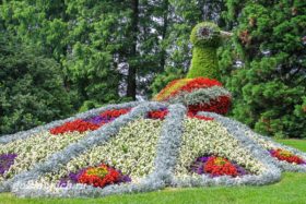 bodenskoe-ozero-ostrov-cvetov